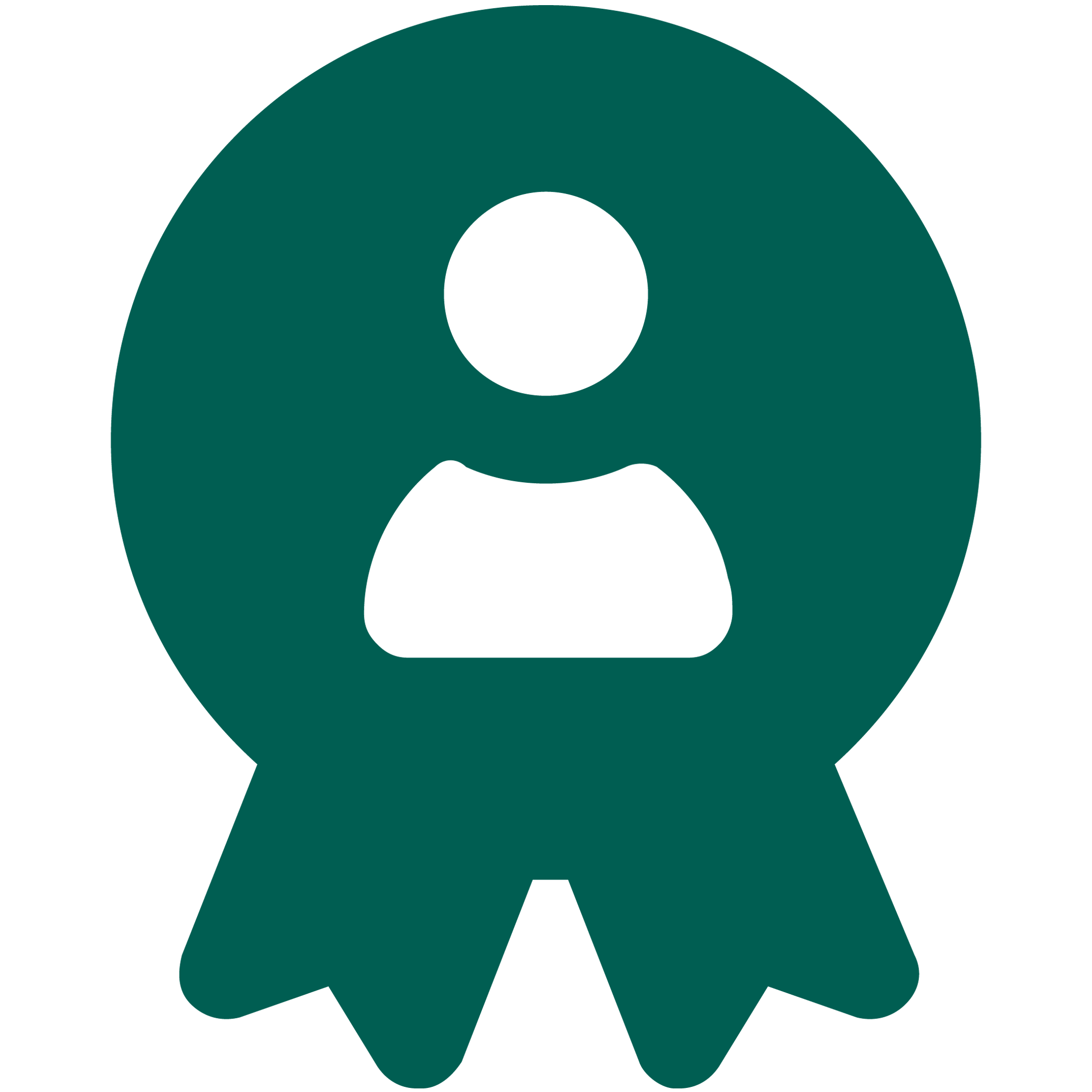 Icon Experte