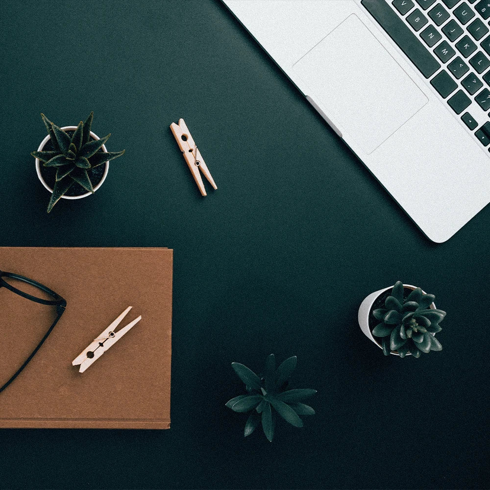Moodbild Schreibtisch mit Laptop und Pflanzen als Flatlay